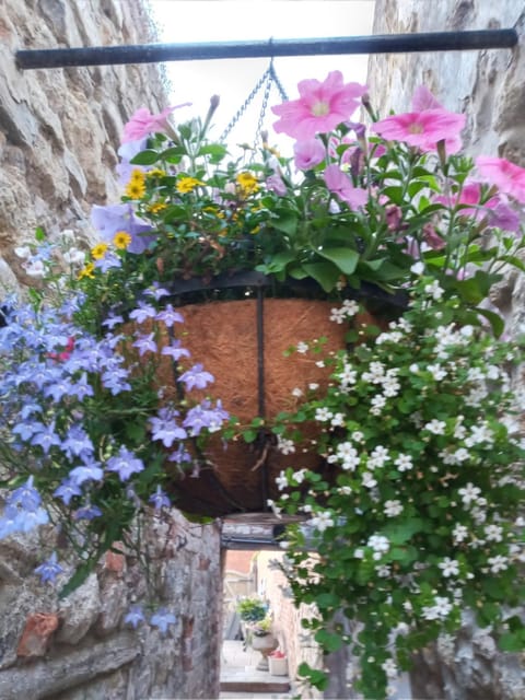 Delighful self catering in the heart of Glastonbury Apartment in Glastonbury