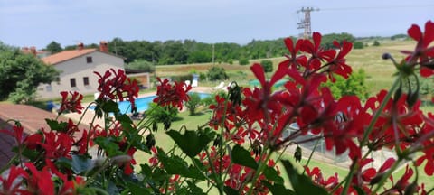 Day, Swimming pool