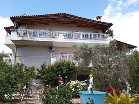 Property building, Garden view