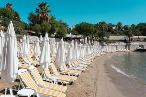 Anadolu Hotels Didim Club - Ultra All Inclusive ex Palmwings Hôtel in Didim