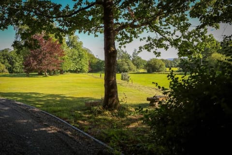 Garden, Garden view