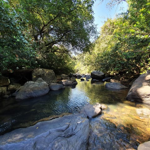 Natural landscape, Hiking, Swimming pool