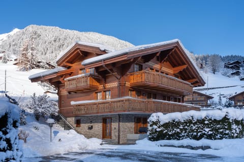Chalet Alia and Apartments-Grindelwald by Swiss Hotel Apartments Chalé in Grindelwald