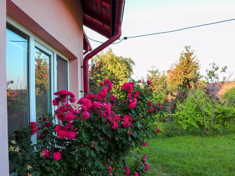 Property building, Facade/entrance, Spring, Day, Natural landscape, Summer, Garden, Garden view, Garden view