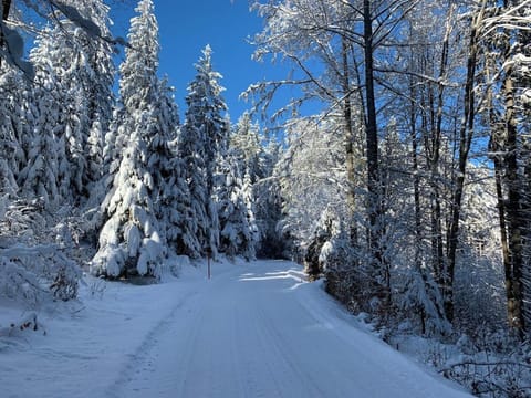 Off site, Natural landscape, Winter, Hiking