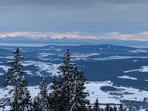 Winter, Skiing