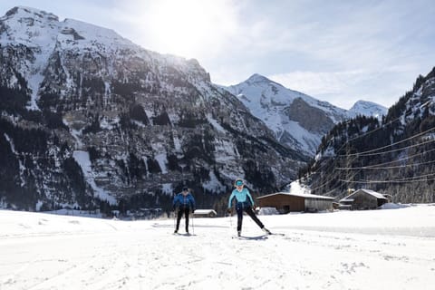 Natural landscape, Skiing