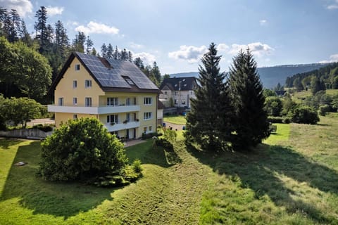 Haus Gisela Apartment in Forbach