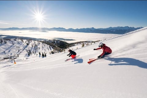 Winter, Skiing, group of guests