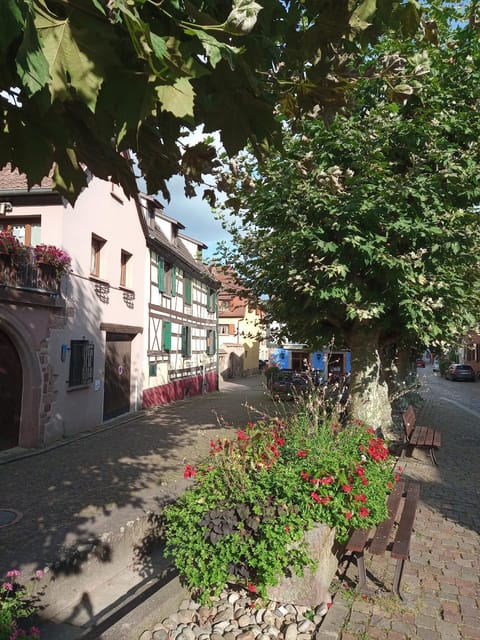 Gites Aux Fines Bulles d'Alsace SPA privatif en supplément Condo in Ribeauvillé