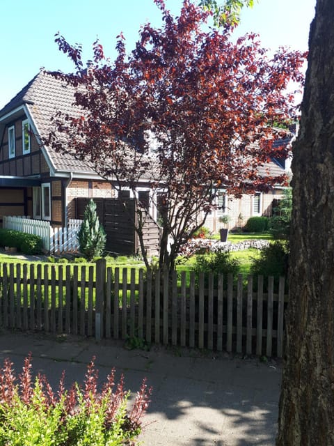 Property building, Garden view