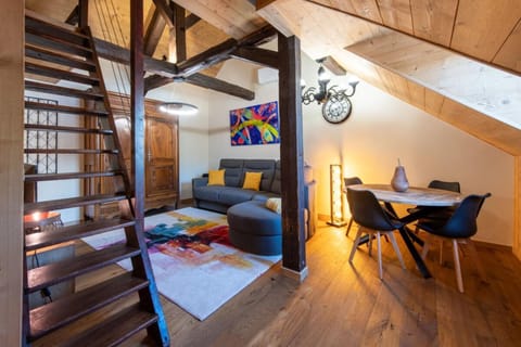JURA Annecy Rent Lodge Apartment in Annecy