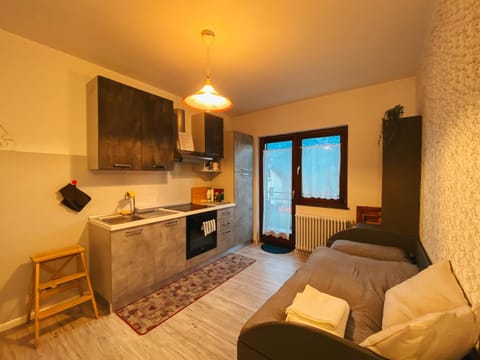 Bed, Kitchen or kitchenette, Living room, Photo of the whole room, Seating area