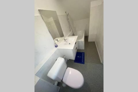 Au cœur de Bruxelles un superbe appartement . Apartment in Brussels