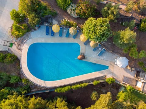 Bird's eye view, Pool view, Swimming pool