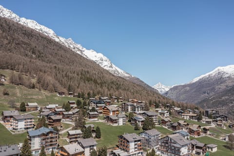 Haus Slalom Apartment in Saas-Fee