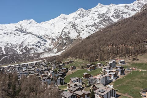 Haus Slalom Apartment in Saas-Fee