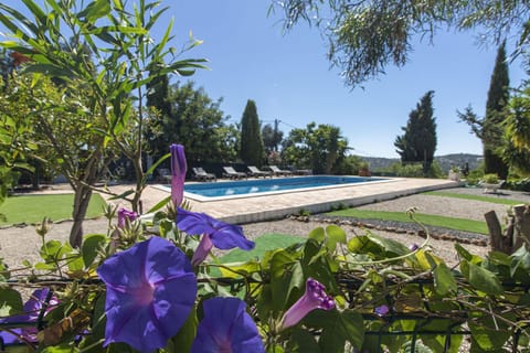 Garden, Swimming pool