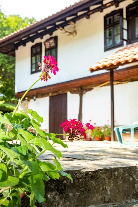 Patio, Facade/entrance