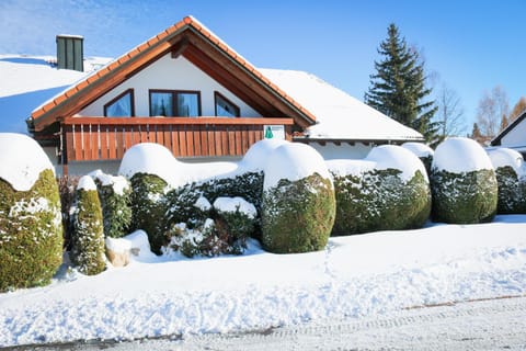 Property building, Natural landscape, Winter