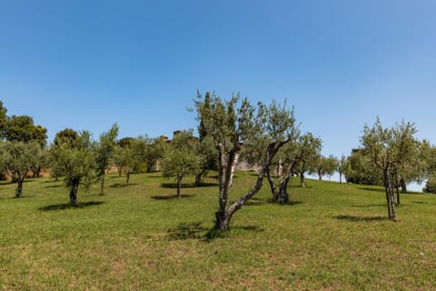 Garden, Garden view