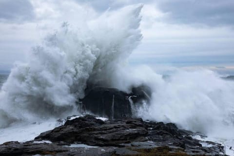 The Great Escape - Port Renfrew & Bunkhouse House in Cowichan Valley