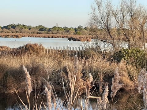 Studios Les Aigues Marines Copropriété in Le Grau-du-Roi