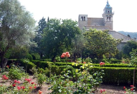 Day, Garden, Garden view, Landmark view