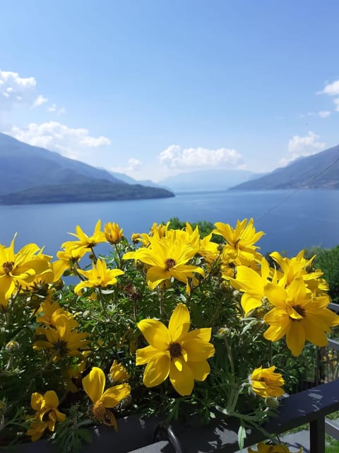 Ca' del Barba Apartment in Domaso
