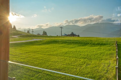 Natural landscape