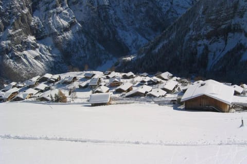 Olle and Maria's B&B- apartment Apartment in Lauterbrunnen