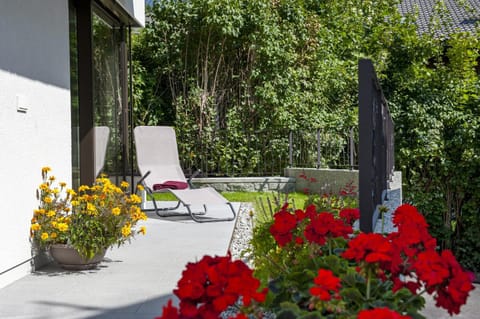 Patio, Garden, Garden view