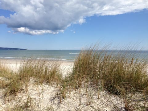 Natural landscape, Beach, Hiking