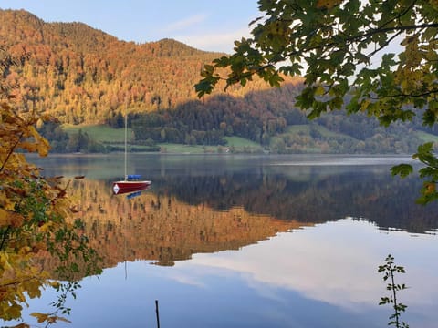 Landhaus SeenSucht Condo in Schliersee