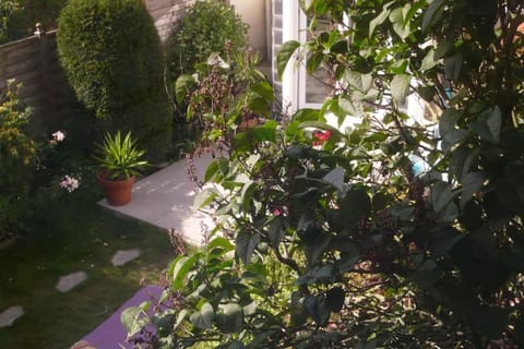 Maison à Malo les bains à 5mn de la plage Apartment in Dunkirk