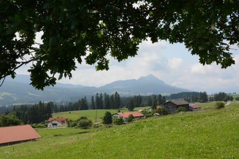 Alpenblick Apartment in Tyrol