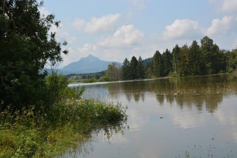 Alpenblick Apartment in Tyrol