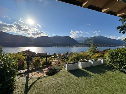 Lake view
