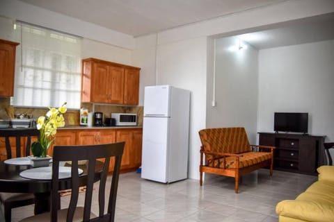 Large Comfortable Apartment #4 in Roseau by The Green Castle Condo in Dominica