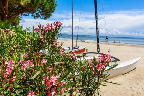 Beach, Sea view