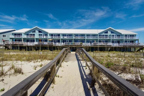 White Sands 451- Beach Dreams Maison in Pensacola Beach