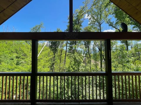 Take it Easy with hot tub and community pool House in Gatlinburg