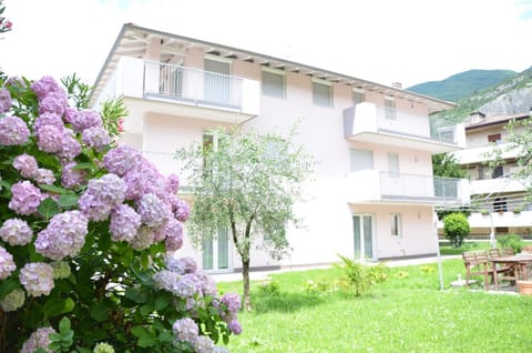 Property building, Garden view