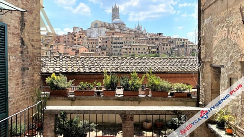 Property building, Day, City view