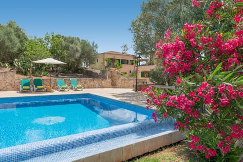 Day, Garden, Garden view, Pool view, Swimming pool, sunbed