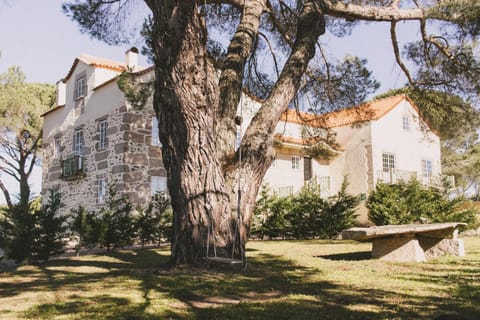 Garden, Landmark view