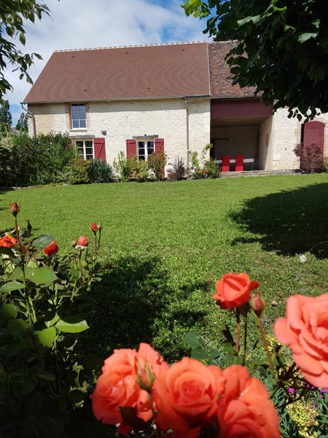 Property building, Garden, Garden view