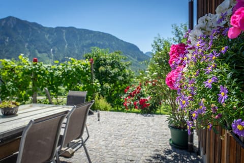 Lovely house with mountain view & big garden in Bad Aussee Maison in Bad Aussee