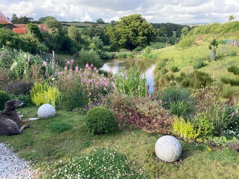 Frizenham Farmhouse Bed and Breakfast in North Devon District