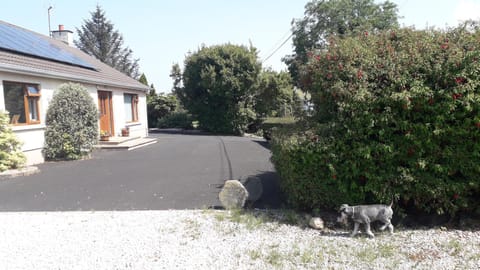 Property building, Facade/entrance, Garden